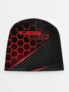 Детская шапка / Forza Horizon