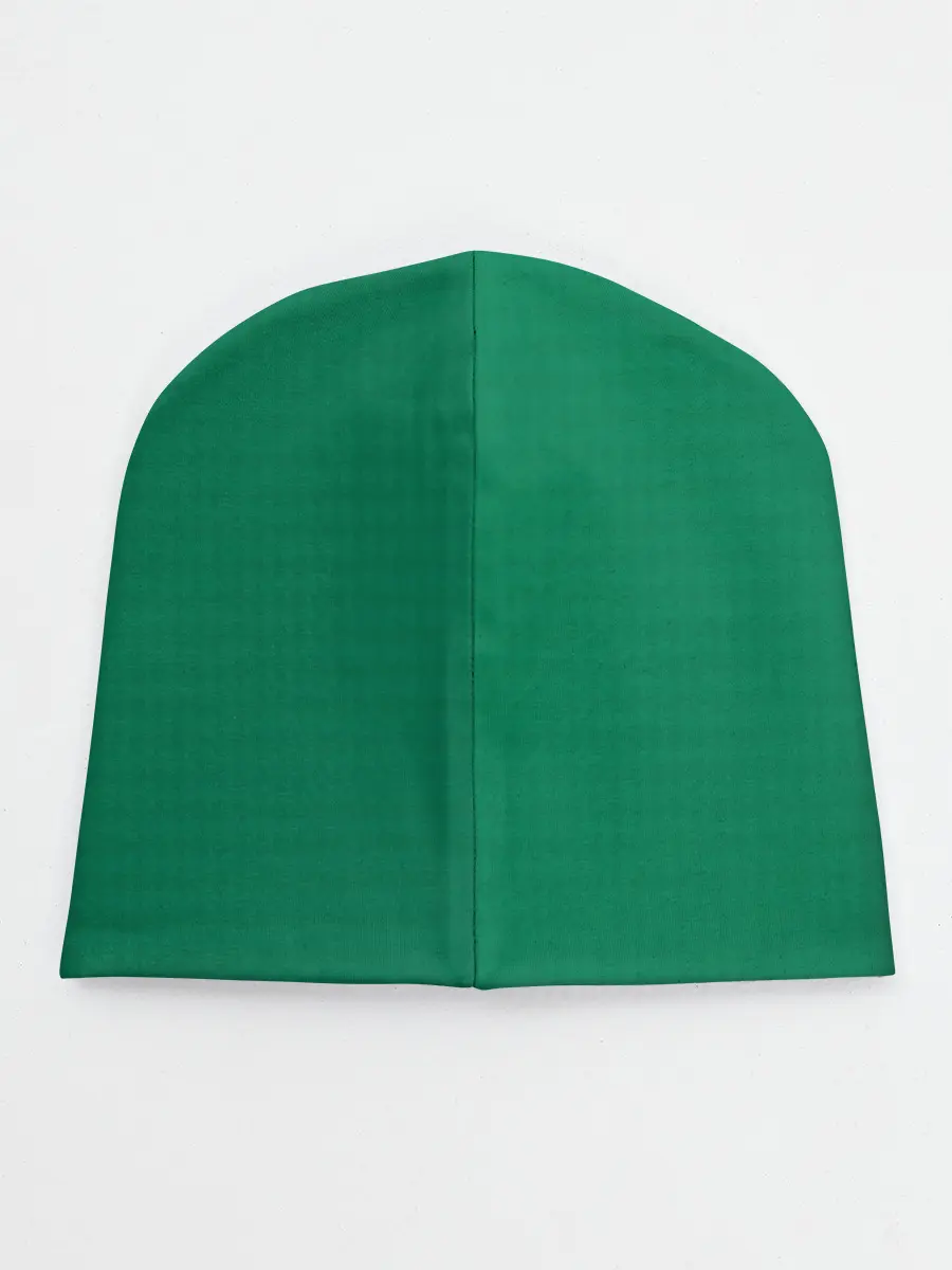 Детская шапка / Slytherin