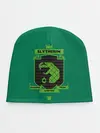 Детская шапка / Slytherin