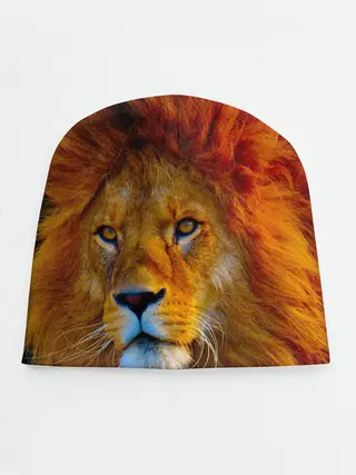 Детская шапка / Лев 3D