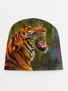 Детская шапка / Тигр 3D