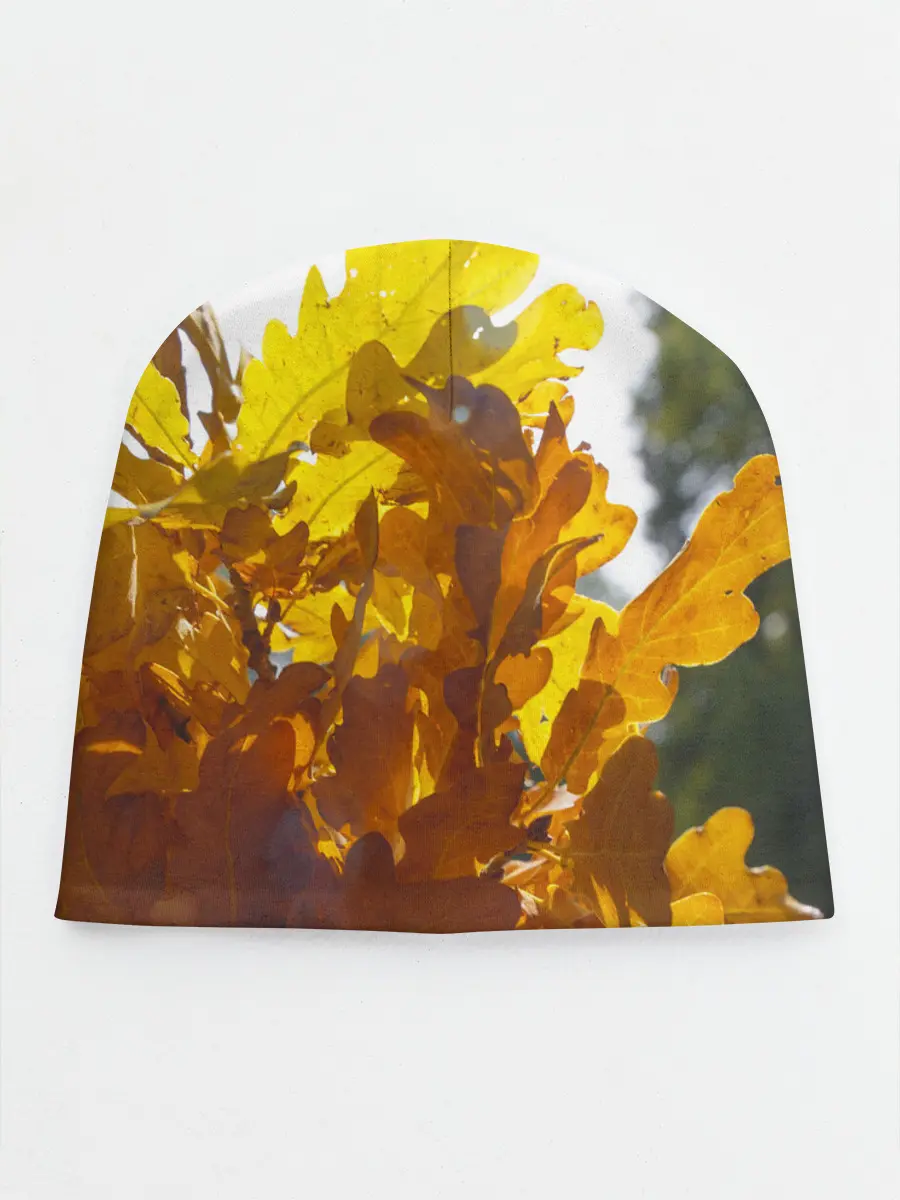 Детская шапка / Букет из осенних листьев