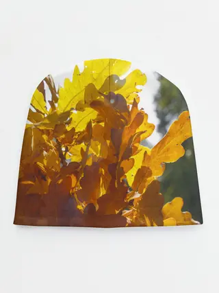 Детская шапка / Букет из осенних листьев