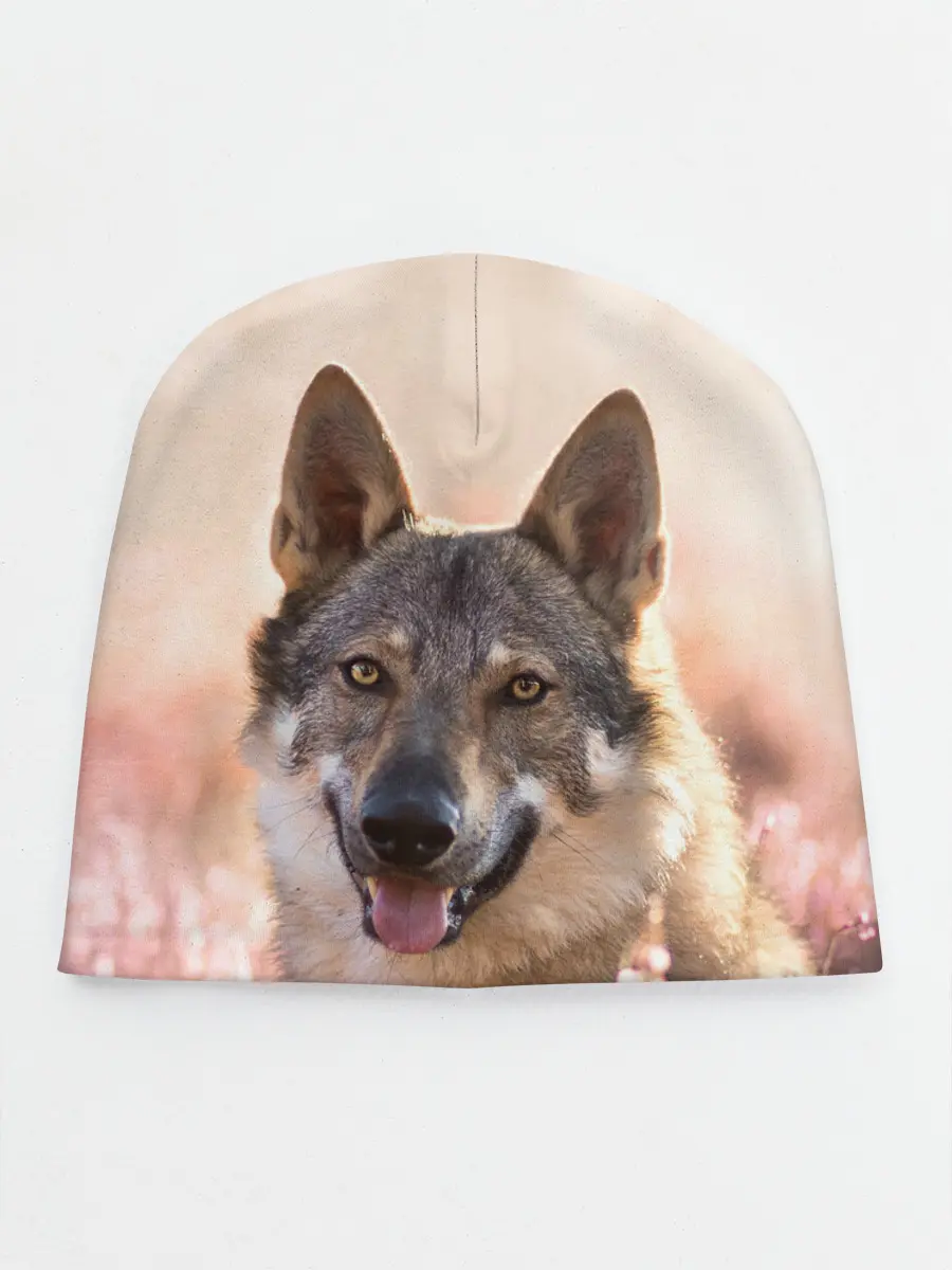 Детская шапка / Красивый Волк