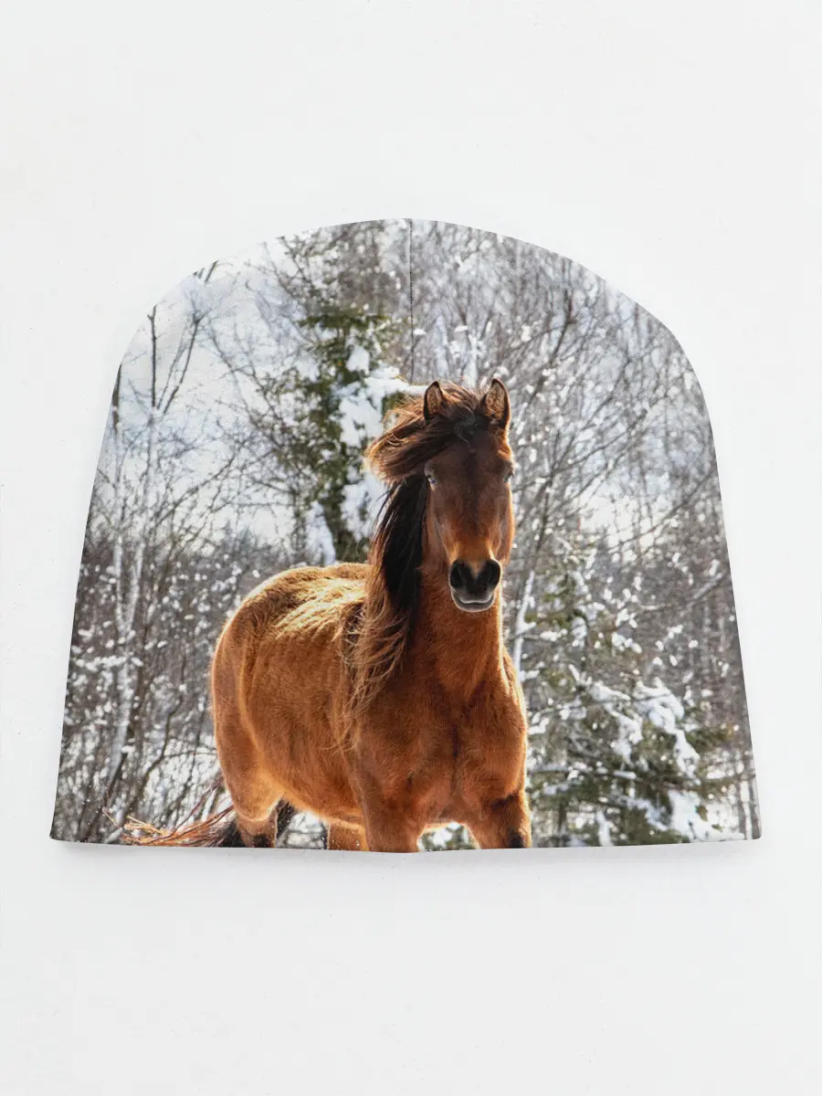 Детская шапка / Конь и снег