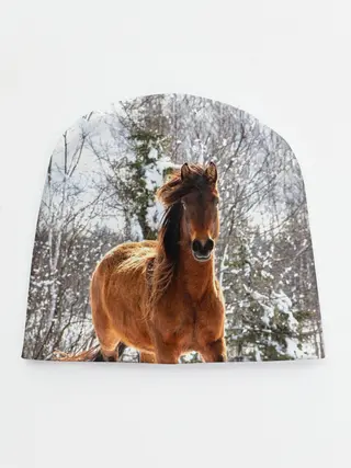 Детская шапка / Конь и снег