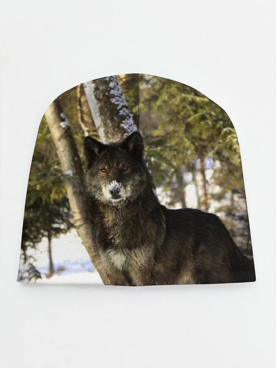 Детская шапка / Волк и снег