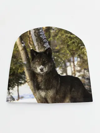 Детская шапка / Волк и снег
