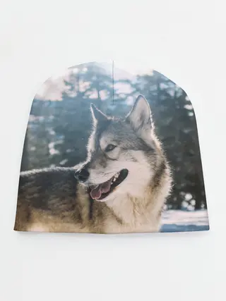 Детская шапка / Волк и снег