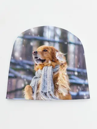Детская шапка / Золотистый Ретривер