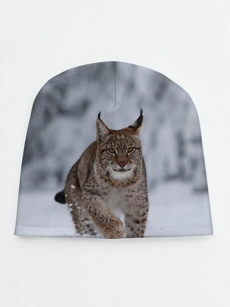 Детская шапка / Рысь