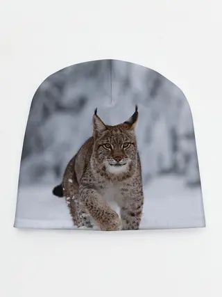 Детская шапка / Рысь