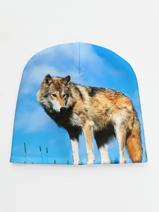 Детская шапка / Волк