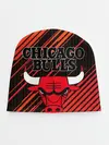 Детская шапка / Chicago Bulls
