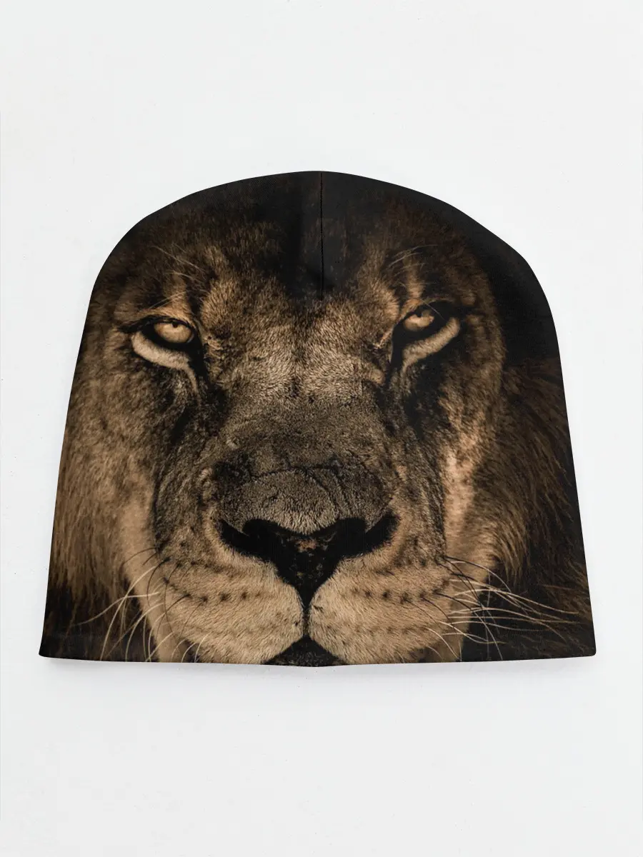 Детская шапка / Лев
