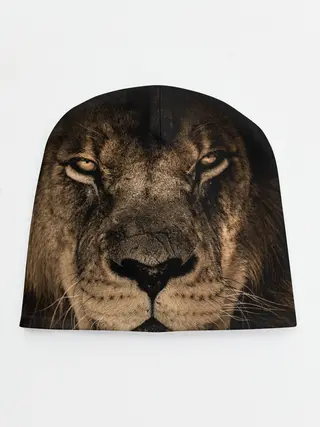 Детская шапка / Лев