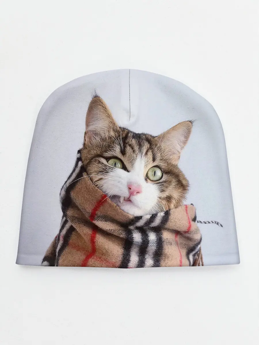 Детская шапка / Кот в шарфе