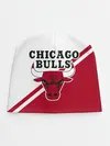 Детская шапка / Chicago Bulls Red-White