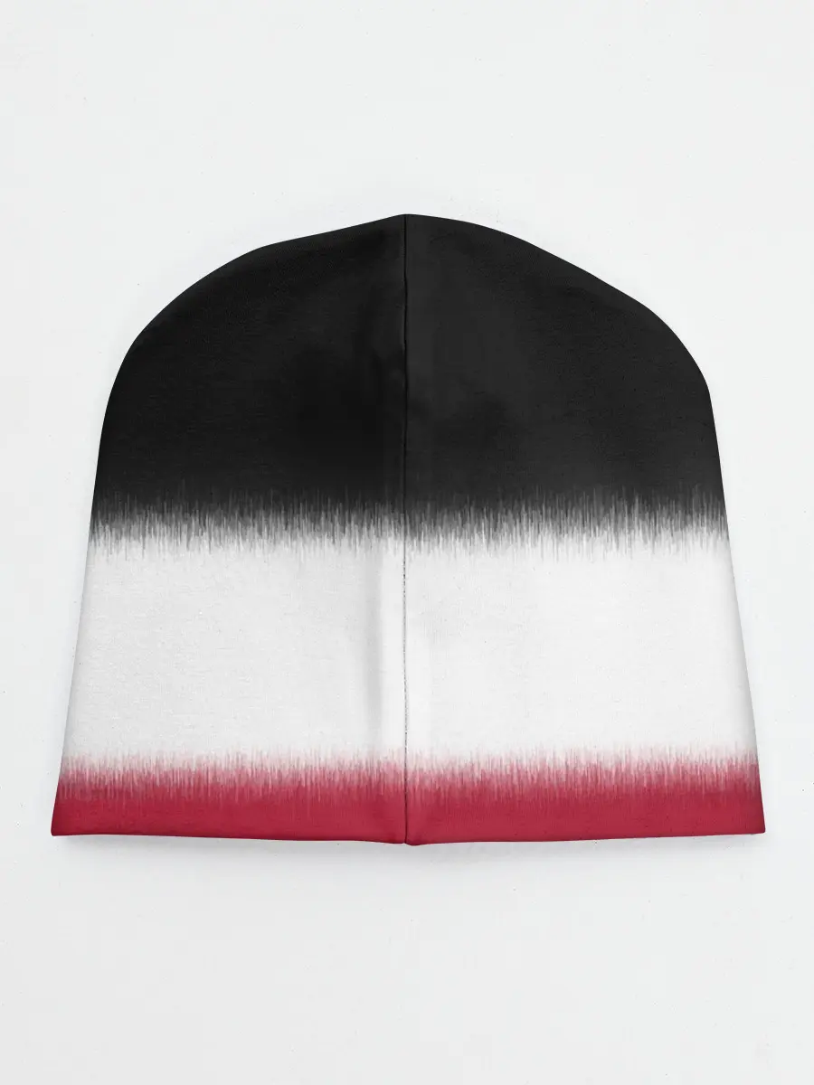 Детская шапка / 2019 Champions Raptors