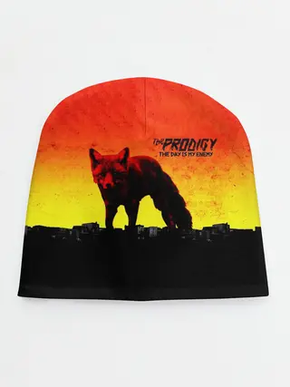 Детская шапка / The Prodigy