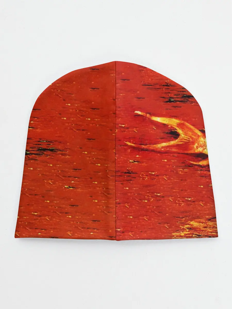 Детская шапка / The Prodigy