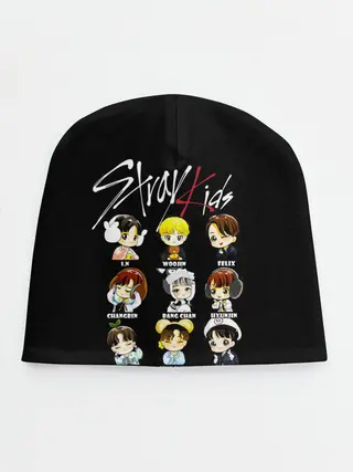 Детская шапка / Stray Kids