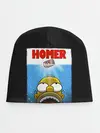 Детская шапка / Homer