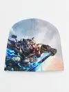 Детская шапка / Warrior Zoomorph