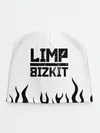 Детская шапка / Limp Bizkit