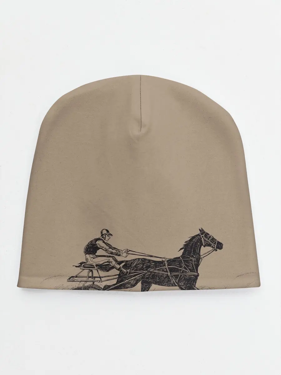 Детская шапка / лошадь с колесницей