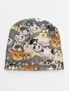 Детская шапка / ALL CATS MEMES