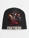 Детская шапка / Pantheon