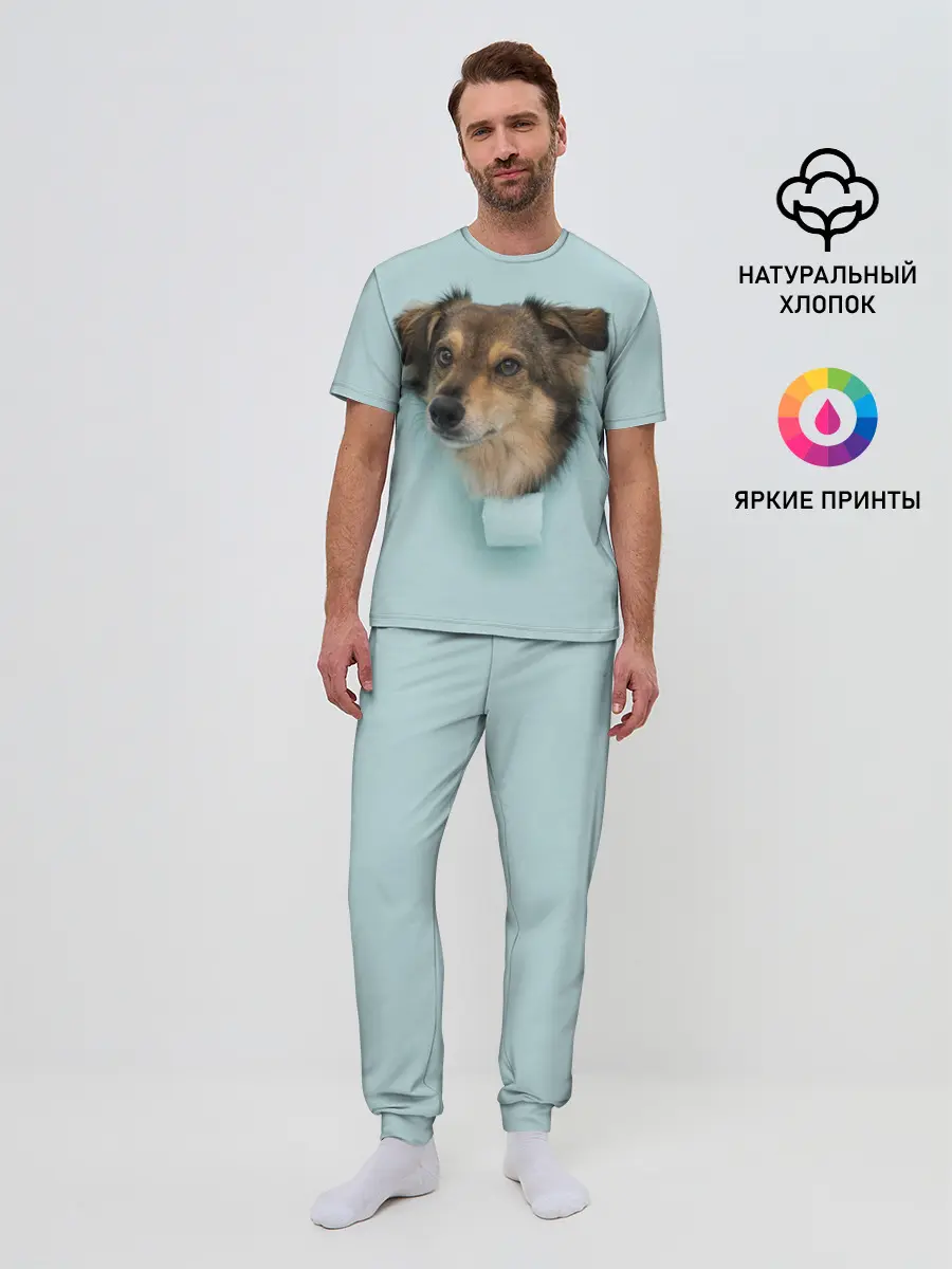 Мужская пижама с брюками / Беспородная Собака дворняга / A Dog
