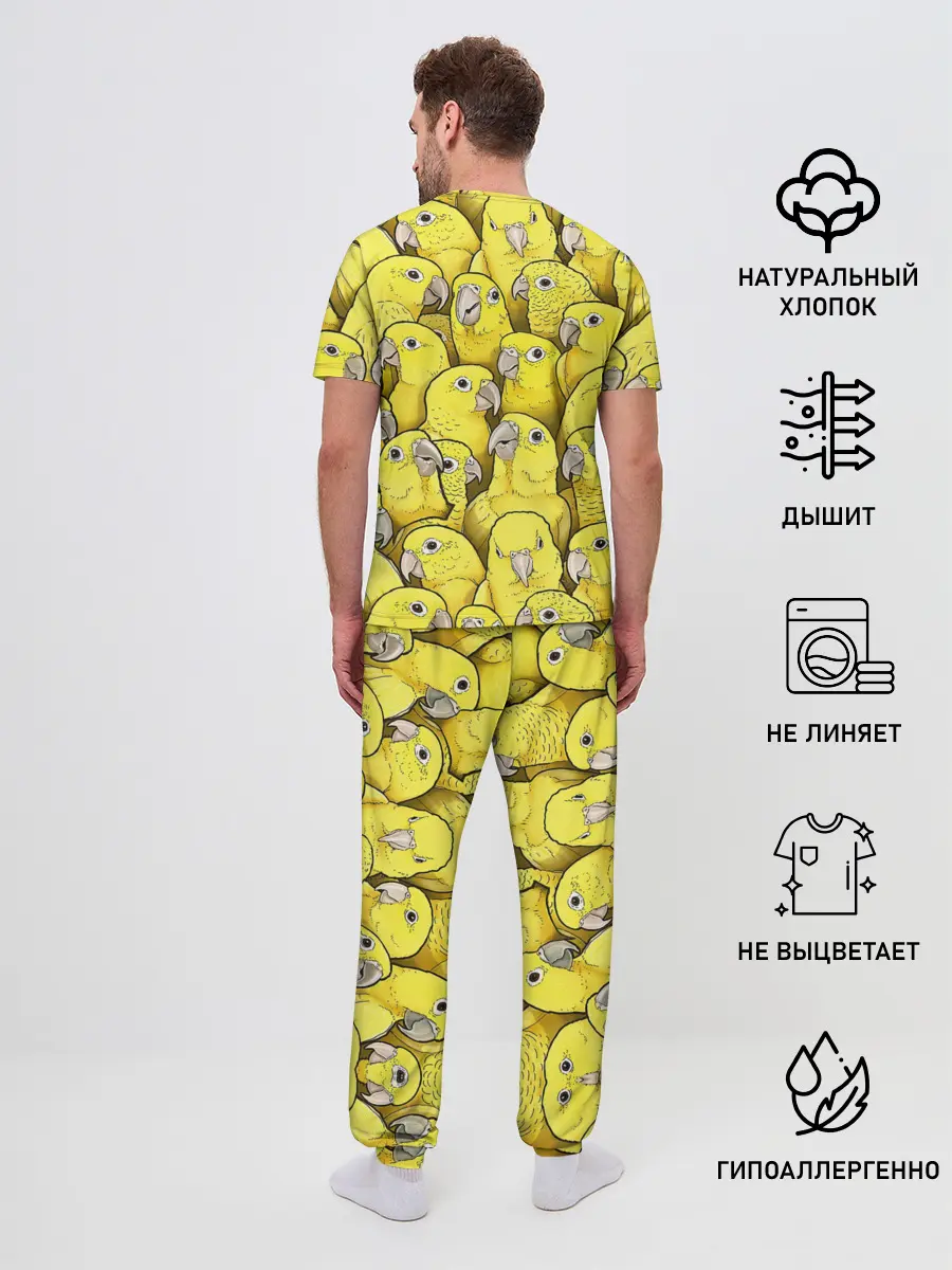 Мужская пижама с брюками / Попугаи