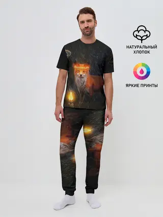 Мужская пижама с брюками / Лиса с огненной короной