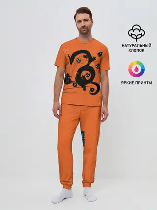 Мужская пижама с брюками / Драконьи яйца