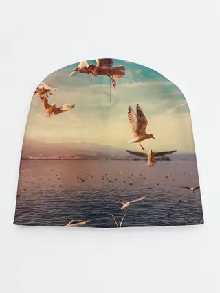 Детская шапка / Чайки на воде