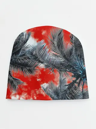 Детская шапка / Tropics Inverted