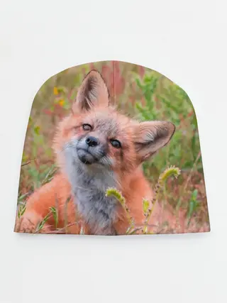 Детская шапка / Лисичка