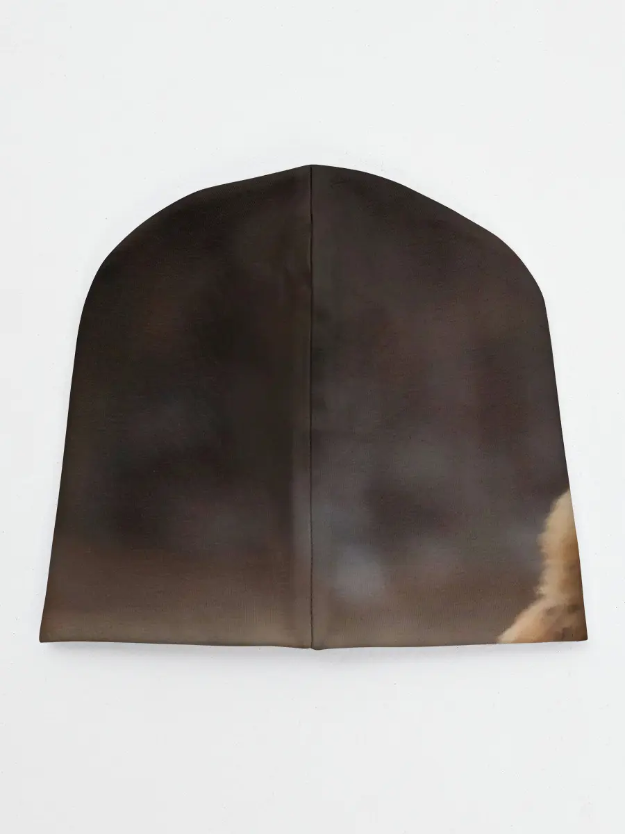 Детская шапка / Хитрая лисица