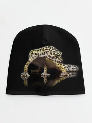 Детская шапка / ЭУБЛЕФАР / EUBLEPHARIS