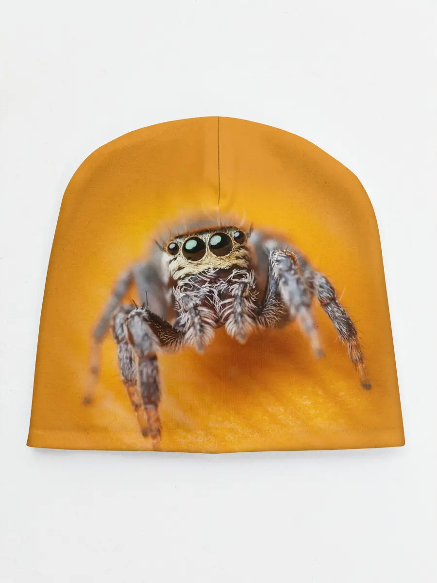Детская шапка / ПАУК / SPIDER