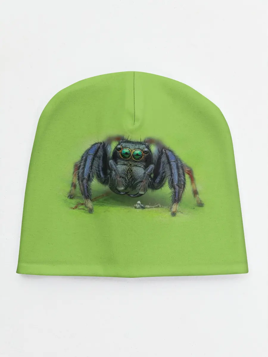 Детская шапка / ПАУК С ГЛАЗКАМИ