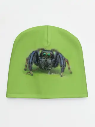 Детская шапка / ПАУК С ГЛАЗКАМИ