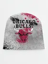 Детская шапка / CHICAGO BULLS [8]