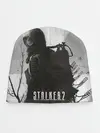Детская шапка / STALKER 2