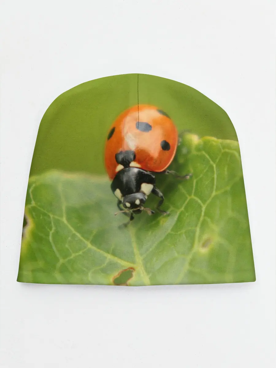 Детская шапка / Божья коровка