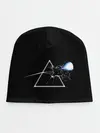 Детская шапка / Pink floyd x Street Fighter