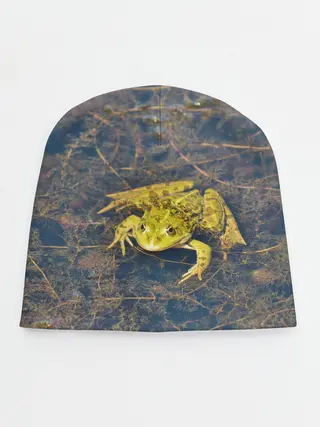 Детская шапка / Лягушка