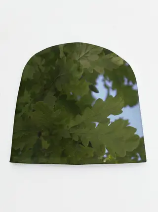 Детская шапка / Летние дубы